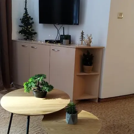 Elitsa بامبوروفو