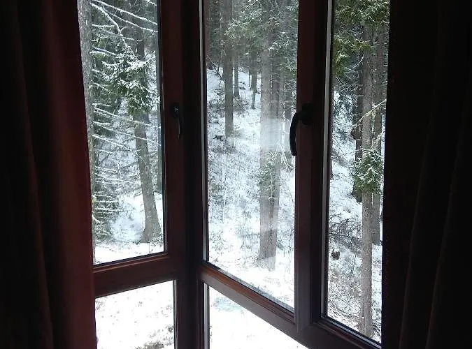 Elitsa Apartment Pamporovo