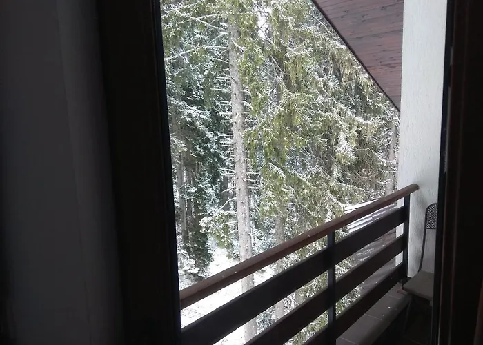 Apartment Elitsa Pamporovo