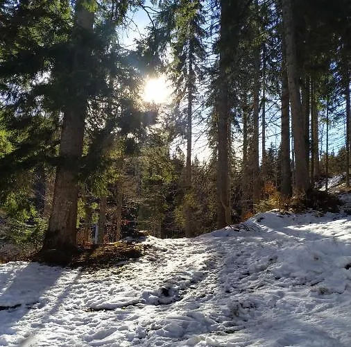 Elitsa Apartment Pamporovo